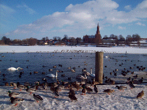 Winterblick auf das Kloster von Malchow