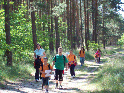 Waldrallye/Schatzsuche (Kl. 1-4) Waldwanderung