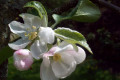 Frühling in Malchow